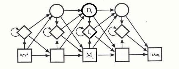 2.2.2 Profiles Hidden Markov Models: Τα Profiles Hidden Markov Models (phmm) αποτελούν μία ειδική κατηγορία του ΗΜΜ, τα οποία εστιάζουν στην περιγραφή της πολλαπλής στοίχισης των αλληλουχιών.