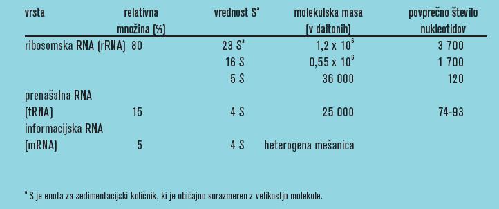 Vrste RNA molekul Molekule RNA, ki so vključene v translacijo: Ribosomalna RNA rrna so sestavni del ribosomov.