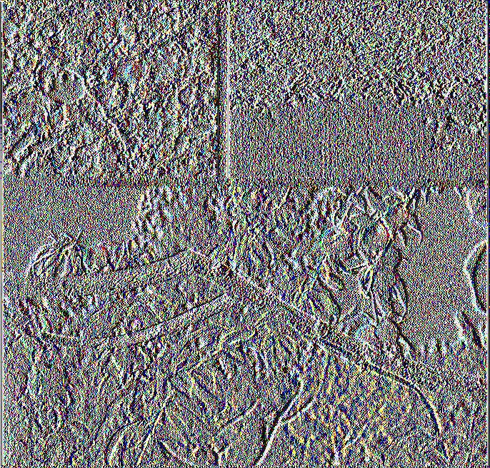 Εικ.2.8(πάνω αριστερά): Ασπίδια αρσενικών και θηλυκών ατόμων του Pseudaulacaspis pentagona. Εικ.2.9(ττάνω δεξιά): Ασπίδια αρσενικών (λευκά) σε βλαστό μουριάς.