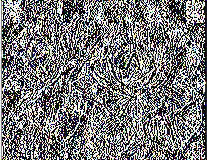 07). 2.