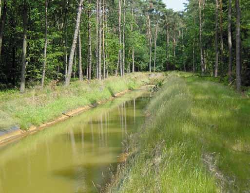 rastimo u harmoniji s okolišem Naša tvornica u Zonhovenu graniči s jezerom i prirodnim ljepotama područja Midden- Limburg (2500 ha).