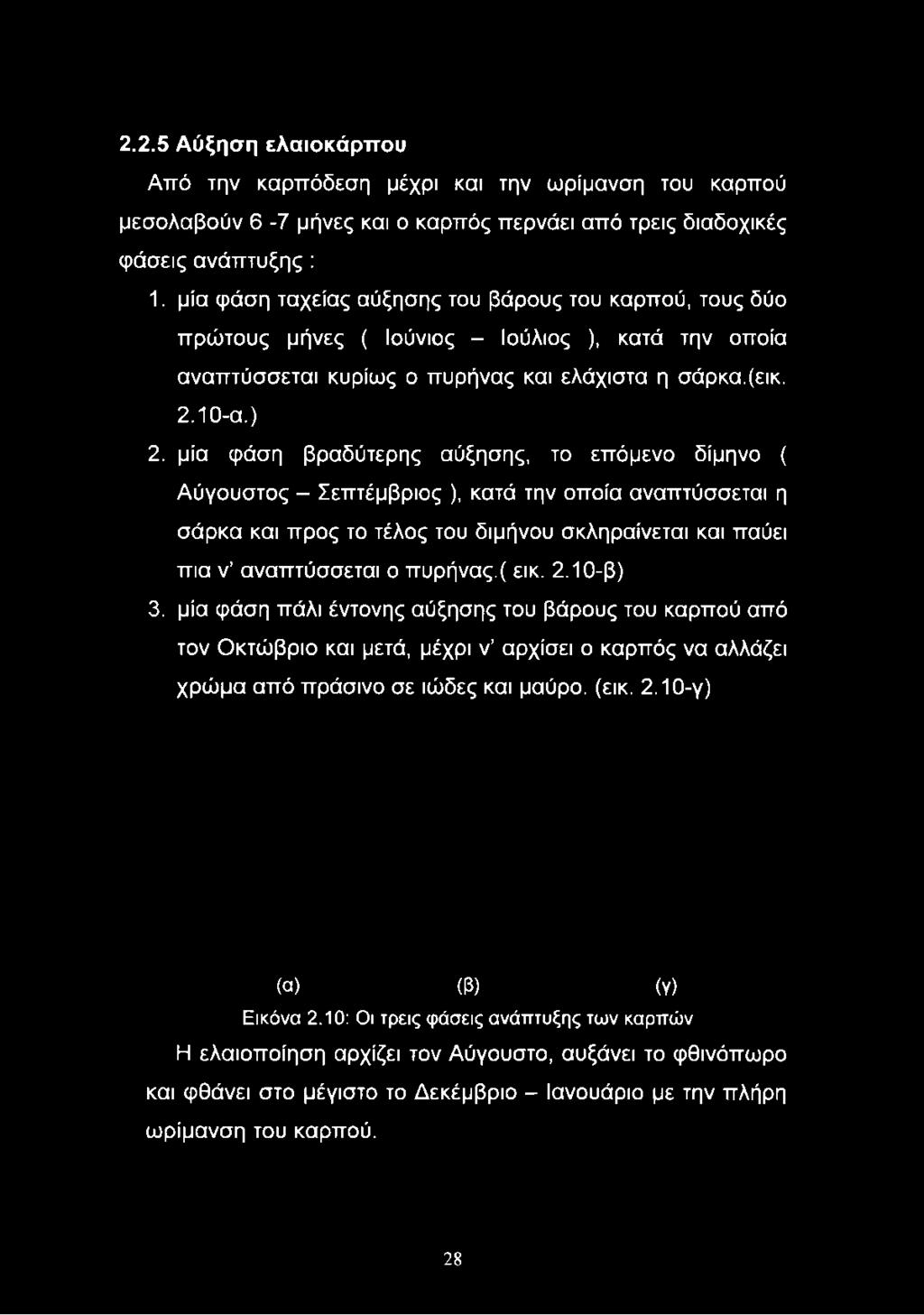 μία φάση ταχείας αύξησης του βάρους του καρπού, τους δύο πρώτους μήνες ( Ιούνιος - Ιούλιος ), κατά την οποία αναπτύσσεται κυρίως ο πυρήνας και ελάχιστα η