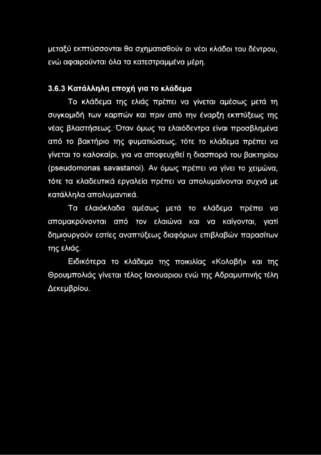 όταν όμως τα ελαιόδεντρα είναι προσβλημένα από το βακτήριο της φυματιώσεως, τότε το κλάδεμα πρέπει να γίνεται το καλοκαίρι, για να αποφευχθεί η διασπορά του βακτηρίου (pseudomonas savastanoi).