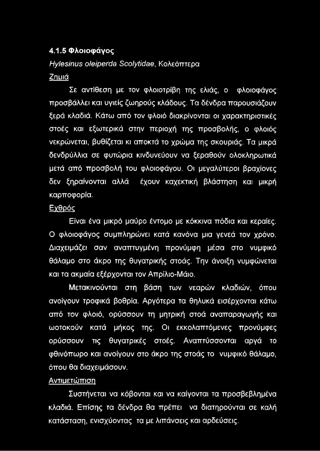 Τα μικρά δενδρύλλια σε φυτώρια κινδυνεύουν να ξεραθούν ολοκληρωτικά μετά από προσβολή του φλοιοφάγου. Οι μεγαλύτεροι βραχίονες δεν ξηραίνονται αλλά έχουν καχεκτική βλάστηση και μικρή καρποφορία.