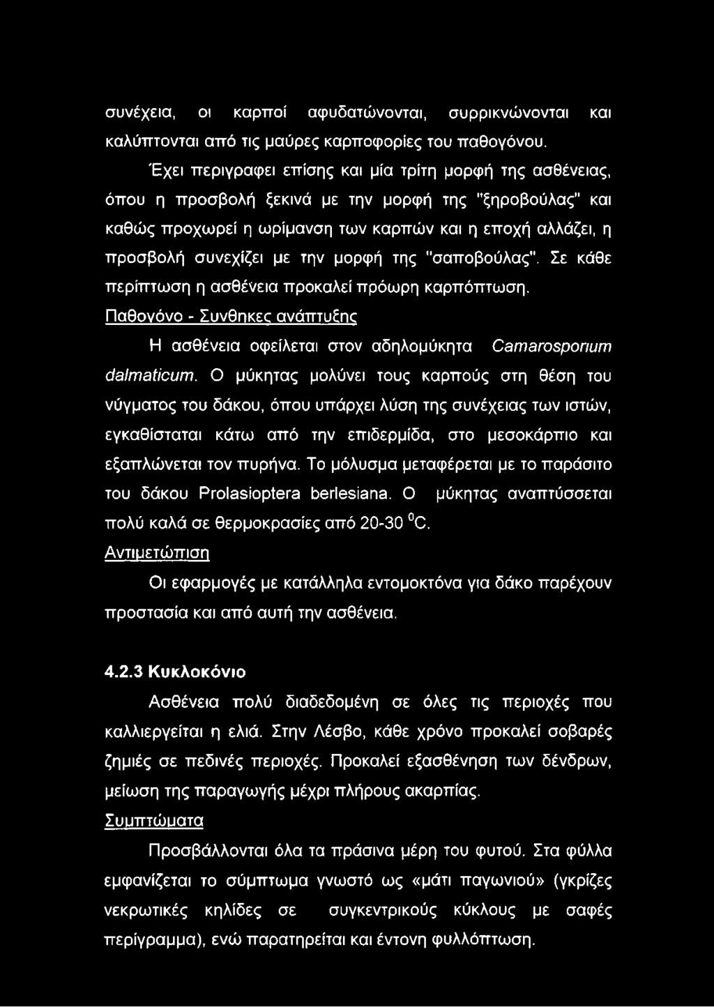 την μορφή της "σαποβούλας". Σε κάθε περίπτωση η ασθένεια προκαλεί πρόωρη καρπόπτωση. Παθονόνο - Συνθπκεο ανάπτυξης Η ασθένεια οφείλεται στον αδηλομύκητα ΟθηΊΒΓοεροπυπι όθιηΐθϊΐουηί.