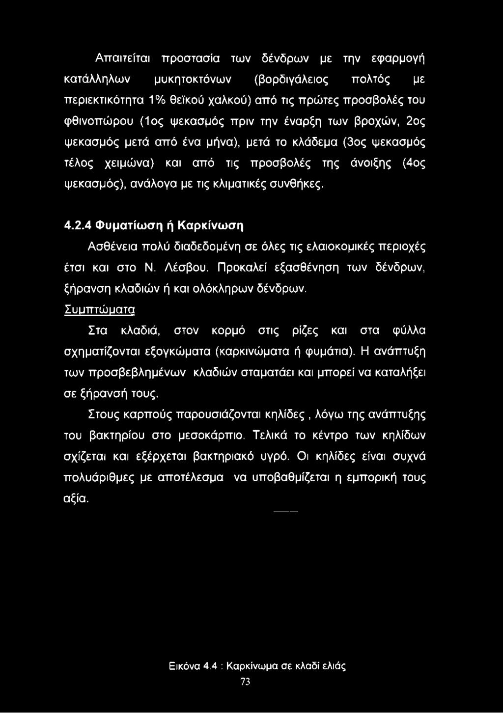 ανάλογα με τις κλιματικές συνθήκες. 4.2.4 Φυματίωση ή Καρκίνωση Ασθένεια πολύ διαδεδομένη σε όλες τις ελαιοκομικές περιοχές έτσι και στο Ν. Λέσβου.