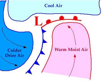 Tipična ciklonogeneza v zmernih geografskih širinah cikloni se razvijejo v hladnem zraku za polarno fronto zgornji sloj zraka gre preko temperaturnega gradienta