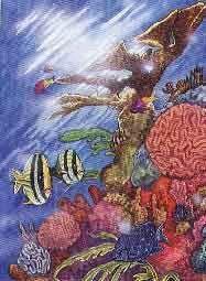 Vpliv hurikanov na ekosistem na koralnem grebenu je biološka pestrost zelo velika,
