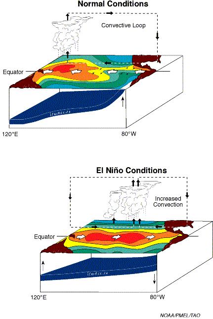 El Nino pacifiški ocean prejme največjo količino sončne toplote, zaradi pasatnih vetrov se vodne mase gibljejo proti zahodu ob zahodni obali se zaradi zakona o ohranitvi mase dviguje hladna in