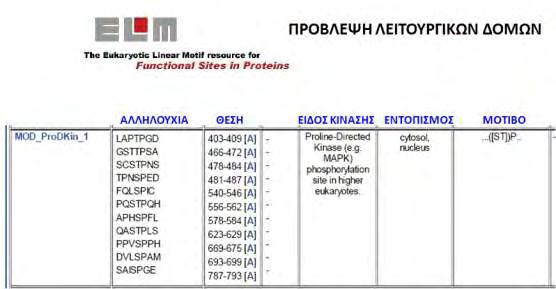 Εικόνα 66: Πρόβλεψη αμινοξικών δομών στην αλληλουχία του HIF-2α που είναι πιθανό να φωσφορυλιώνονται από τις ERK κινάσες σε ένα μοτίβο (S,T)P αμινοξέων (www.elm.eu.org).