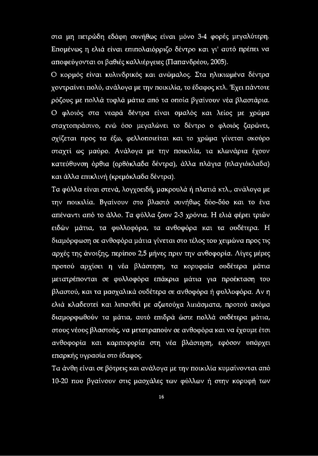 Ο φλοιός στα νεαρά δέντρα είναι ομαλός και λείος με χρώμα σταχτοπράσινο, ενώ όσο μεγαλώνει το δέντρο ο φλοιός ζαρώνει, σχίζεται προς τα έξω, φελλοποιείται και το χρώμα γίνεται σκούρο σταχτί ως μαύρο.