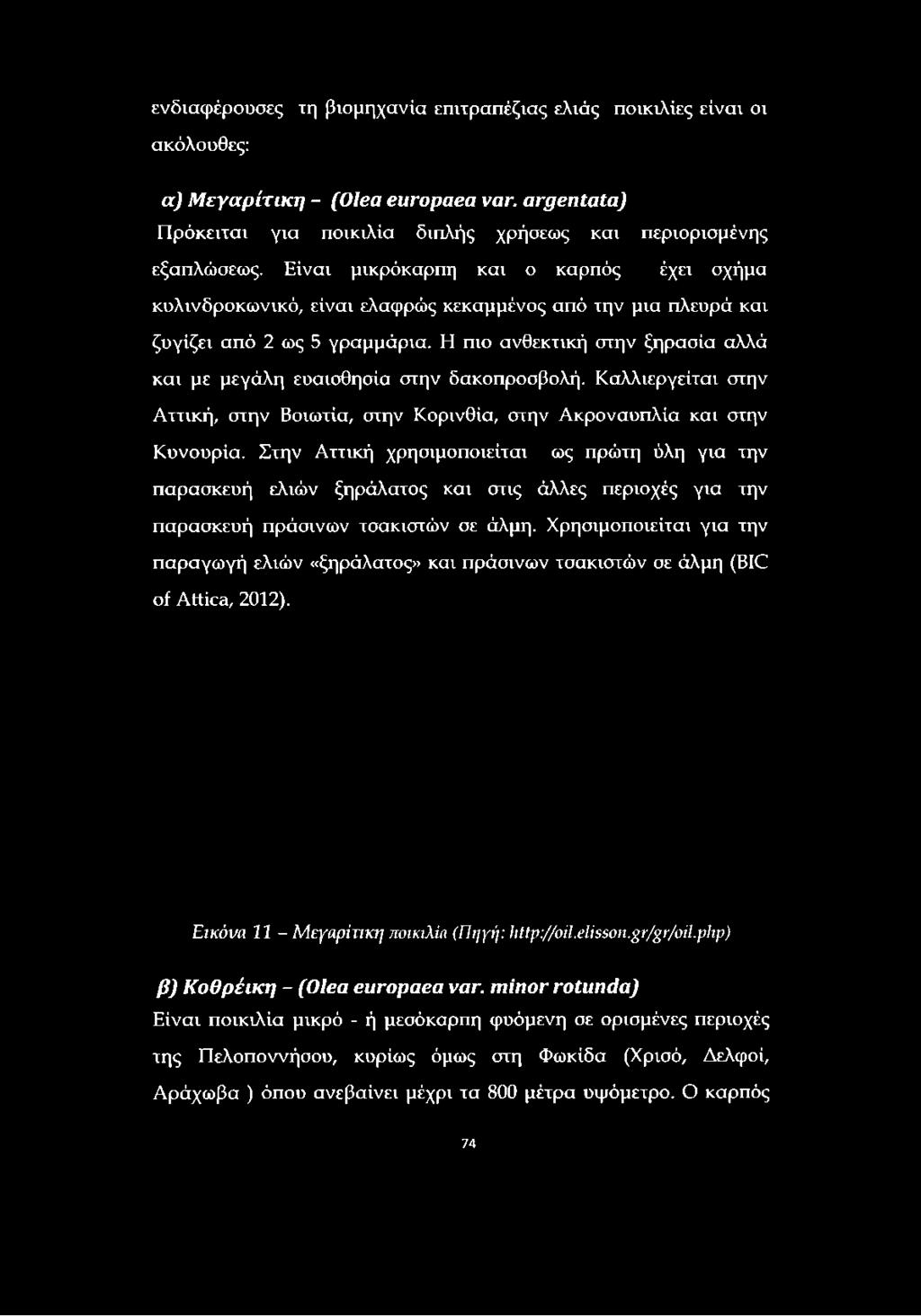 Είναι μικρόκαρπη και ο καρπός έχει σχήμα κυλινδροκωνικό, είναι ελαφρώς κεκαμμένος από την μια πλευρά και ζυγίζει από 2 ως 5 γραμμάρια.