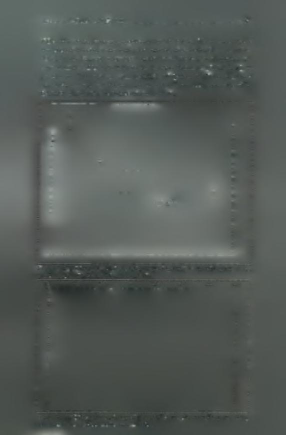 Κενά/.αιο 3 -GOIN - (1987-1990) -92- GOIN. Η Γύρα της Ιεράπετρας εμφανίζεται καθαρά κατά την διάρκεια του χειμώνα του 1989 από τα δεδομένα που αντλήθηκαν από τους πλόες GAKKEL 33 και LBD01 (Εικόνα 3.