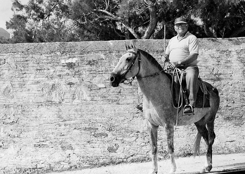 Άναψε το πρυμνιό φανάρι του γαϊδάρου για να μην κινδυνεύει από τα τροχοφόρα οχήματα. Χαίρομαι Τάσο για το εφευρετικό σου μυαλό. Χαίρομαι όταν σε συναντώ στο δρόμο.