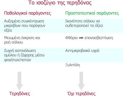 (ε). Ποιος είναι ο ρόλος της οδοντόκρεμας κατά το βούρτσισμα των δοντιών; (βλ. Συμπληρωματικό υλικό) Β.