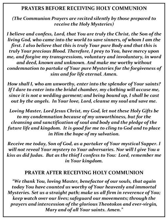 GOSPEL READING The Reading is from the Gospel according to Mark 2:1-12 At that time, Jesus entered Capernaum and it was reported that he was at home.