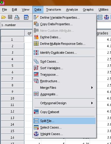 בוחרים בלשונית splite file את האפשרות Data נפתח חלון עם האפשרויות הבאות : מכניסים את המשתנה )בדוגמא שלנו