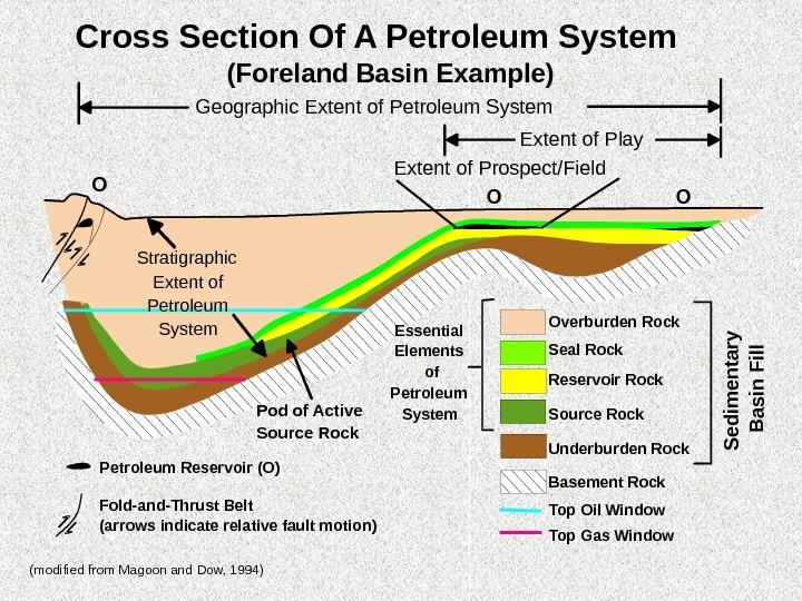 Εικόνα 4: Η εικόνα αυτή αποτελεί μια σχηματική τομή ενός πετρελαϊκού συστήματος όπου φαίνεται η γεωγραφική του εξάπλωση.