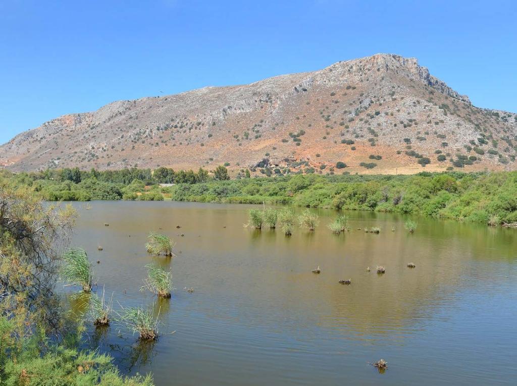 Προστασία των νησιωτικών