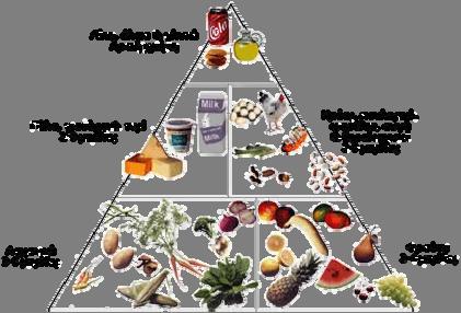 συκώτι ασβεστίου και φωσφόρου Βιταμίνη Ε (Τοκοφερόλη) Ελαιόλαδο, ψωμί,, αυγά, κρέας, συκώτι Παραγωγή ερυθρών αιμοσφαιρίων, αντιοξειδωτικές ιδιότητες,