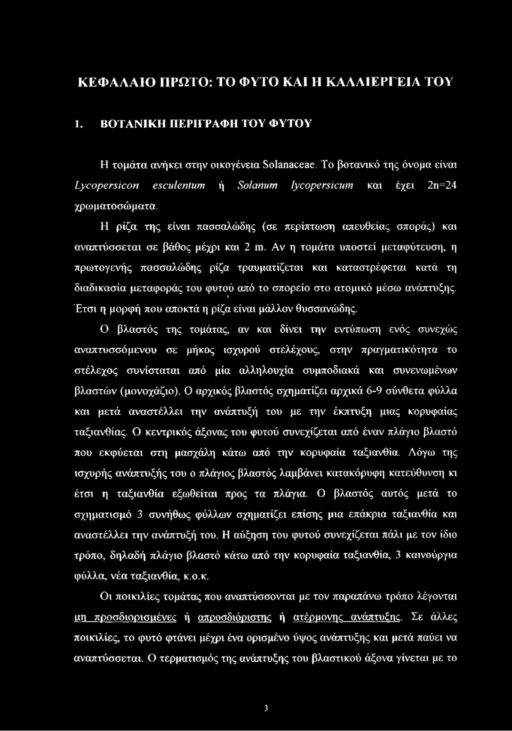 Η ρίζα της είναι πασσαλώδης (σε περίπτωση απευθείας σποράς) και αναπτύσσεται σε βάθος μέχρι και 2 m.