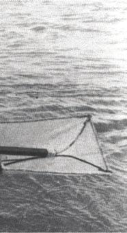 (elvers) από τους ποταµούς (Usui, 1991). Σχήµα 4.