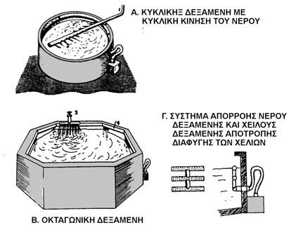 ΚΕΦΑΛΑΙΟ 4 ο - Χελοκαλλιέργεια 112 Σχήµα 4.7. Σχηµατική αναπαράσταση κυκλικής και οκταγωνικής δεξαµενής που χρησιµοποιούνται στις χελοκαλλιέργειες.