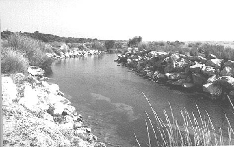 51 Σχήµα 1.16. Μέρος του διαύλου επικοινωνίας (µπούκα) της θάλασσας µε τη λιµνοθάλασσα του Πρόκοπου (Αραξος Αχαϊας). Διακρίνεται δεξιά η ενίσχυση του πρανούς µε µπετόν και λιθοριπή.