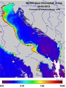 chlorophyll-a (μg/l ) distribution in Adriatic