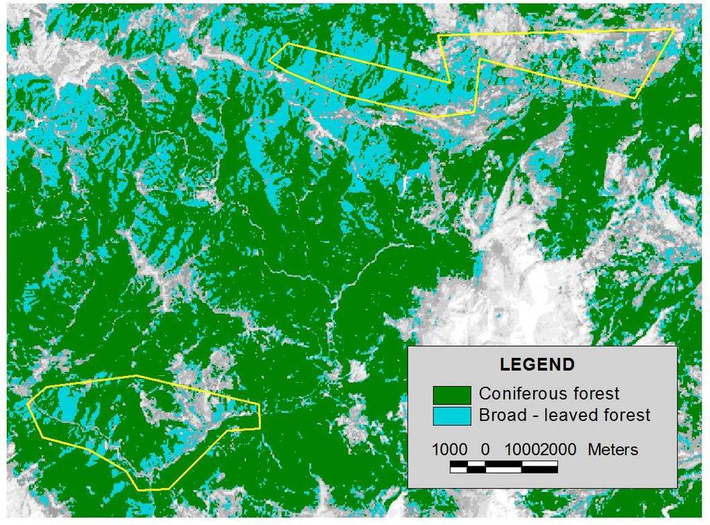 Εικόνα 4. Ταξινόμηση (classification) για τα δάση κωνοφόρων και πλατύφυλλων για τη δορυφορική εικόνα του έτους 1984 στο Δάσος Ασπροποτάμου Καλαμπάκας.