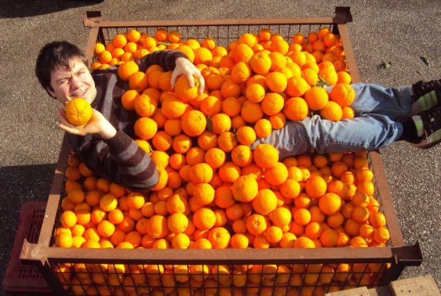 Πορτοκάλι Το ελληνικό πορτοκάλι είναι ένα από τα βασικά εξαγώγιμα προϊόντα της χώρας μας. Οι εταιρίες του εξωτερικού το έχουν σε μεγάλη εκτίμηση καθώς περιέχει ελάχιστα υπολείμματα φυτοφάρμακων.