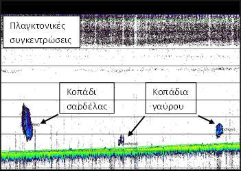 (Εικόνα 1) με συρόμενο ηχοβολιστικό σχιστής δέσμης τύπου Biosonics DTX στα 38kHz και 120 khz.