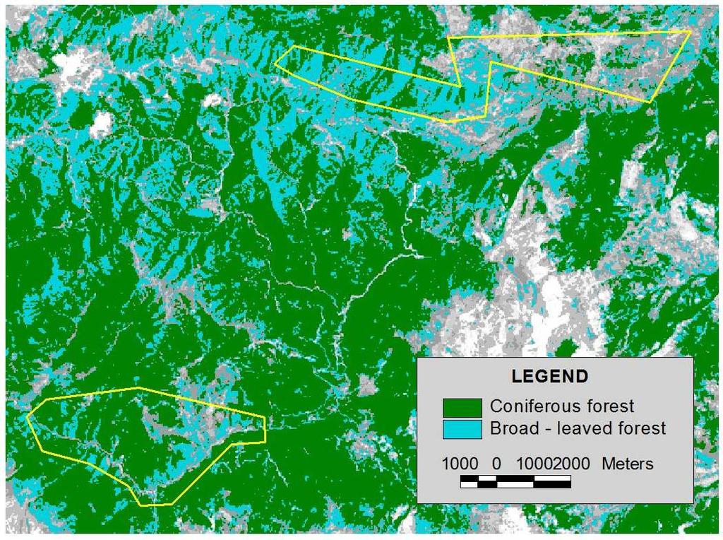 Εικόνα 25. Ταξινόμηση (classification) για τα δάση κωνοφόρων και πλατύφυλλων για τη δορυφορική εικόνα του έτους 1984 στο Δάσος Ασπροποτάμου Καλαμπάκας.