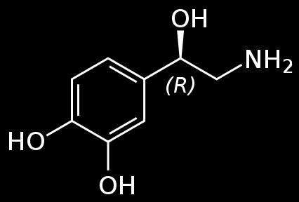 ADRENERGILINE SÜNAPS Mediaatoriks on katehhoolamiin (adrenaliin, noradrenaliin) Postsünaptilisel membraanil on olemas adrenoretseptor Sellised