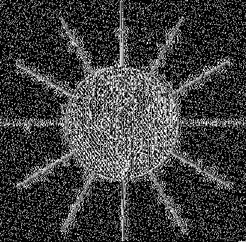 S k o l ē n a d a r b a l a p a F_11_uP_04_P1 Vārds uzvārds klase datums GRAVITĀCIJAS LAUKS UN ELEKTRISKAIS LAUKS Izlasi informāciju par gravitācijas lauku un elektrisko lauku!