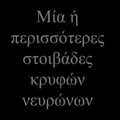 Ανταγωνιστική εκμάθηση (Competitive learning): προέρχεται από το χώρο της νευροβιολογίας, όπου βασίζεται στον ανταγωνισμό μεταξύ των νευρώνων της στοιβάδας εξόδου για το ποιος νευρώνας θα