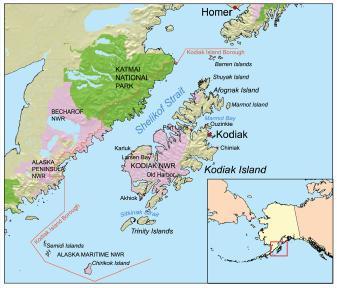 ένα ρήγμα στον αγωγό. 48 4.3. Kodiak Island Ο Δήμος της Νήσου Κόντιακ περιλαμβάνει την ομώνυμη πόλη και ένα αρχιπέλαγος από σμαραγδένια νησιά στον κόλπο της Αλάσκας.
