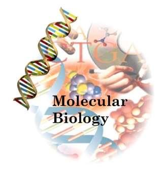 Bioloģijas apakšnozares molekulārā bioloģija Informācija grāmatā 18. 19.lpp.