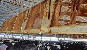 από το Cape Town βρίσκεται το Fair Cape Dairies, που ανήκει στην οικογένεια Loubser και παράγει 70 εκατοµµύρια λίτρα γάλα ανά έτος από 2.500 αγελάδες Holstein, Ayrshire και Jersey.