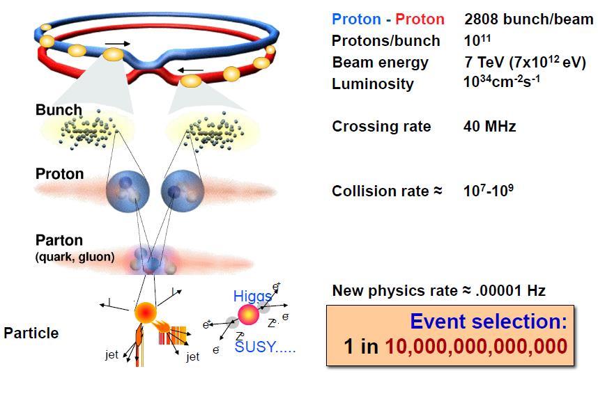 Το LHC 31