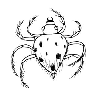 daxate obobas qseli: Ζωγράφισε τα δίχτυα της αράχνης: gaaferade gveli ise, rom