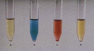 Фенотиазини FPN тест Се додава 1 ml од FPN реагенсот (смеса од 5 ml фери хлорид, 45 ml перхлорна киселина, 50 ml азотна киселина) на 1 ml примерок и се меша за време од 5 секунди.