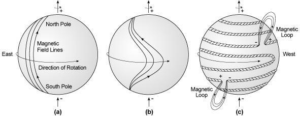 1.2.1 Το μαγνητικό πεδίο του Ήλιου και οι δομές που δημιουργεί Το πλάσμα που βρίσκεται στο εσωτερικό του Ήλιου, καθώς είναι μαγνητισμένο, με τη διαδικασία του δυναμό παράγει το μαγνητικό πεδίο του
