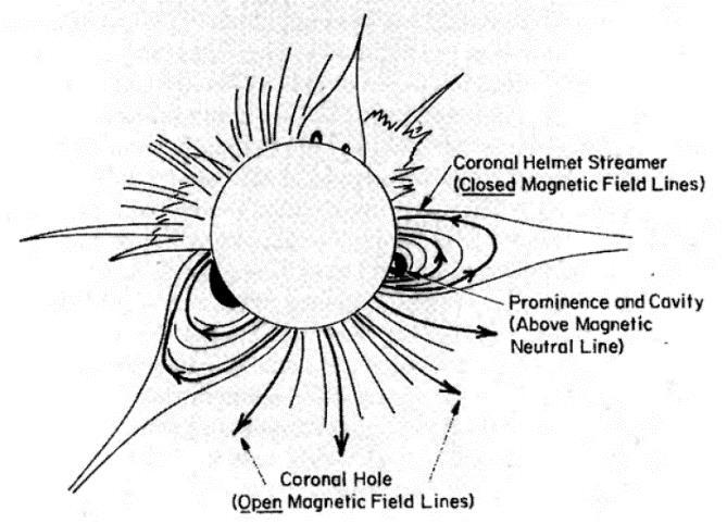 Εικόνα 22: Σκίτσο των δομών του στέμματος που παρατηρήθηκαν κατά την ολική ηλιακή έκλειψη του 1966.