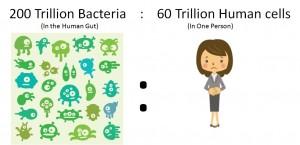 υγεία Περισσότερα από 400 διαφορετικά είδη και πάνω από 200 τρισεκατομμύρια βακτήρια ζουν συνολικά στο πεπτικό σύστημα ενός ανθρώπου ενώ όλο το σώμα αποτελείτε από 60 τρισεκατομμύρια κύτταρα.