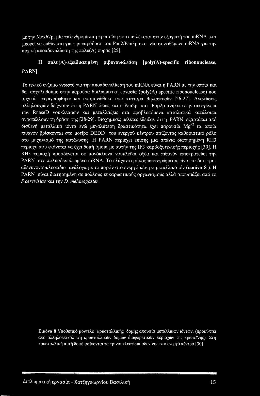 στην παρούσα διπλωματική εργασία (poly(a) specific ribonouclease) που αρχικά περιγράφθηκε και απομονώθηκε από κύτταρα θηλαστικών [26-27], Αναλύσεις αλληλουχιών δείχνουν ότι η PARN όπως και η Pan2p