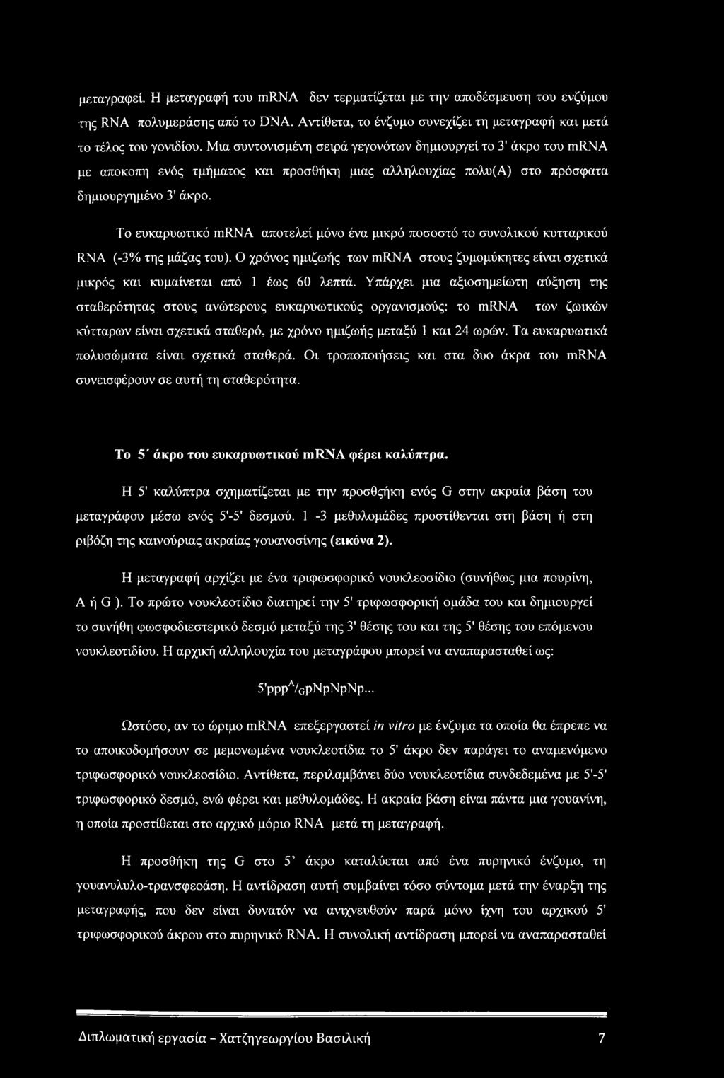 Το ευκαρυωτικό mrna αποτελεί μόνο ένα μικρό ποσοστό το συνολικού κυτταρικού RNA (-3% της μάζας του). Ο χρόνος ημιζωής των mrna στους ζυμομύκητες είναι σχετικά μικρός και κυμαίνεται από 1 έως 60 λεπτά.