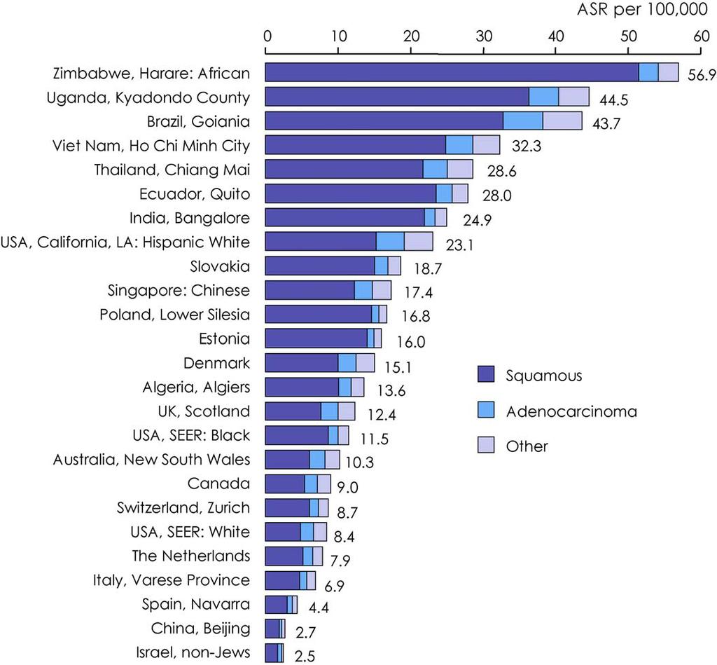 Εισαγωγή Καρκίνος του τραχήλου της µήτρας : Διεθνώς ASR 2.5 έως 56.9/100.000 265.653 θάνατοι Ελλάδα ASR 5.2/100.