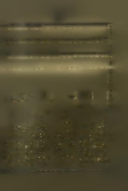 3 8 o X l g >- * S> Β W> <E> -8,t>. 0-?8. 0 - ^ 3 - >< 3 3 «> o ht '** 0 _j 1Ω v8 8 00 G^ 03 01 o4 OO 3 3 0- C; P 0 3- CL. rl «o_ Q- ΕΓ-1 > 3 '8 w >- '«, Q- o Β.Ϊ-3» >8 O.M I ut 3.