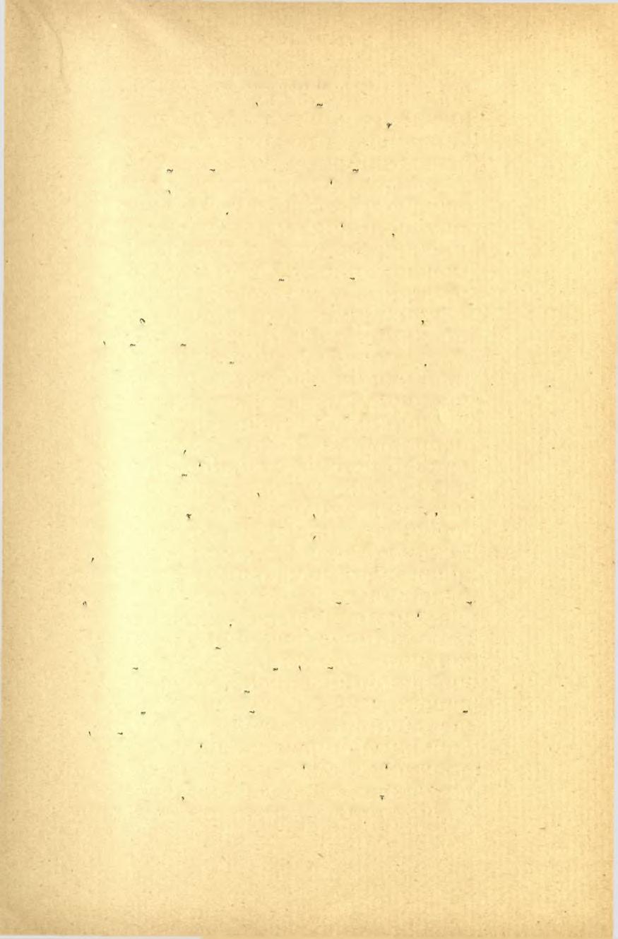 ΠΡΑΚΤΙΚΑ.
